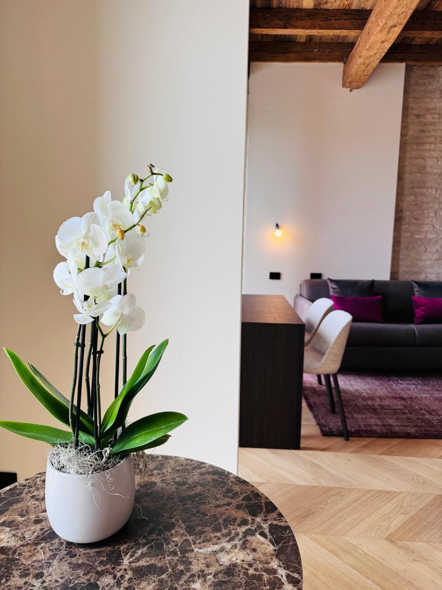 Apartment Palazzo Carpediem-prato Della Valle *